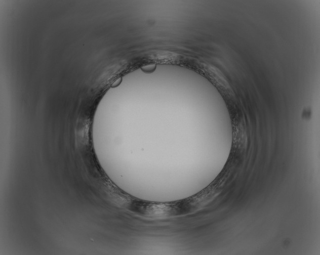X0000090430717200708031129