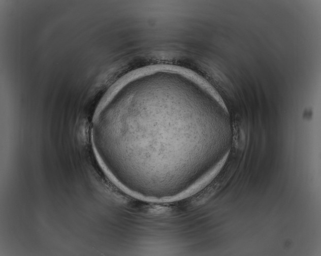 X0000090430718200708031129
