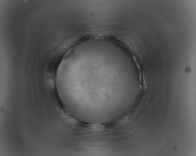 X0000090430719200708031129