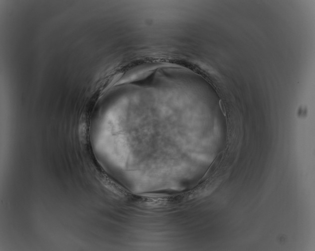 X0000090430720200708031129