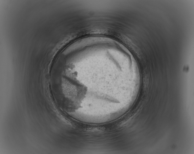 X0000090430721200708031129