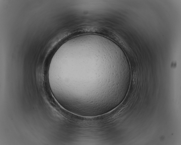 X0000090430722200708031129