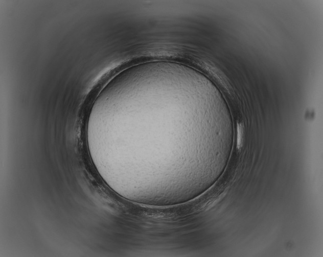 X0000090430723200708031129