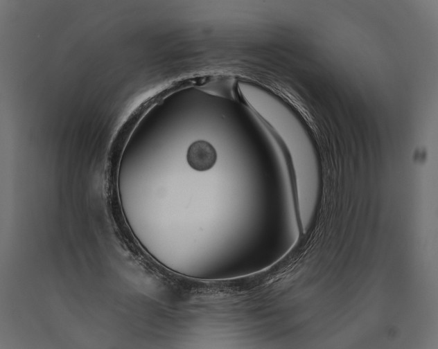 X0000090430724200708031129