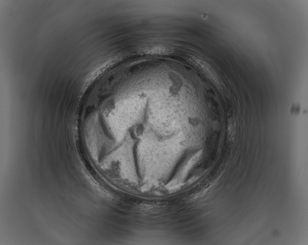 X0000090430725200708031129