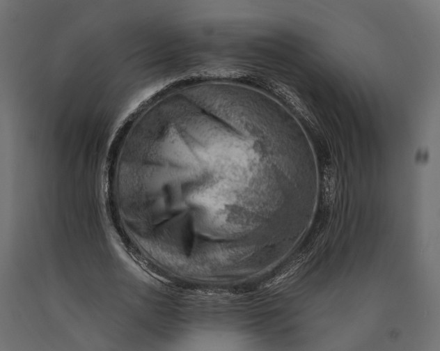 X0000090430726200708031129