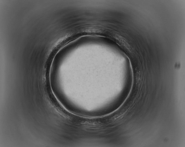X0000090430727200708031129
