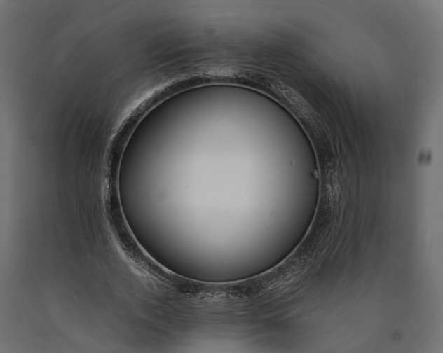 X0000090430728200708031129