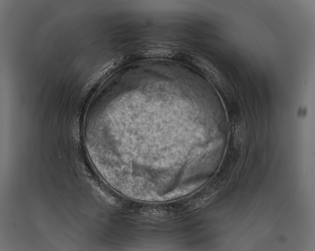 X0000090430729200708031129