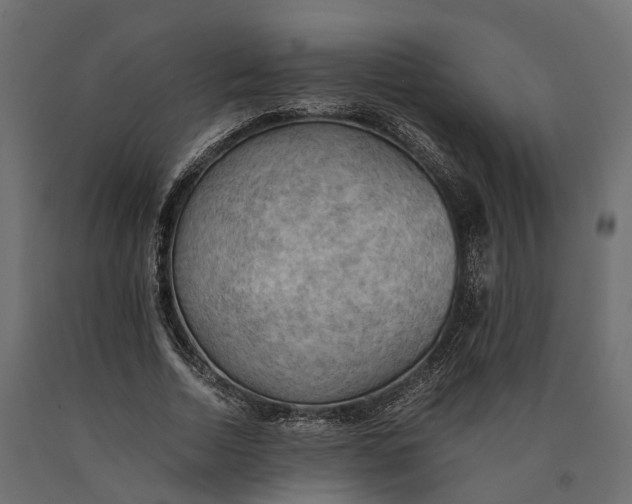 X0000090430730200708031129