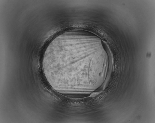 X0000090430731200708031129