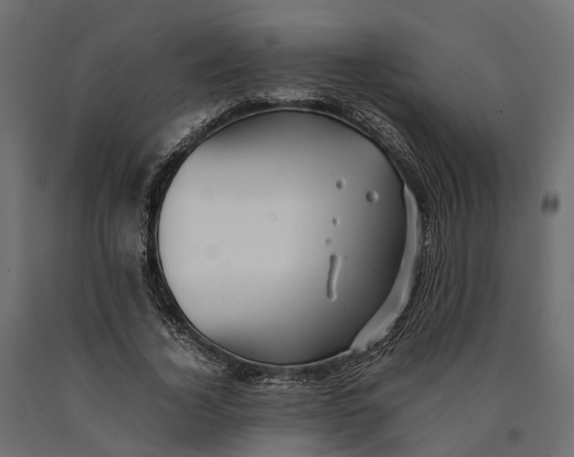 X0000090430732200708031129
