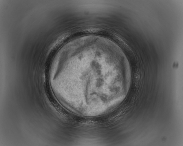 X0000090430734200708031129