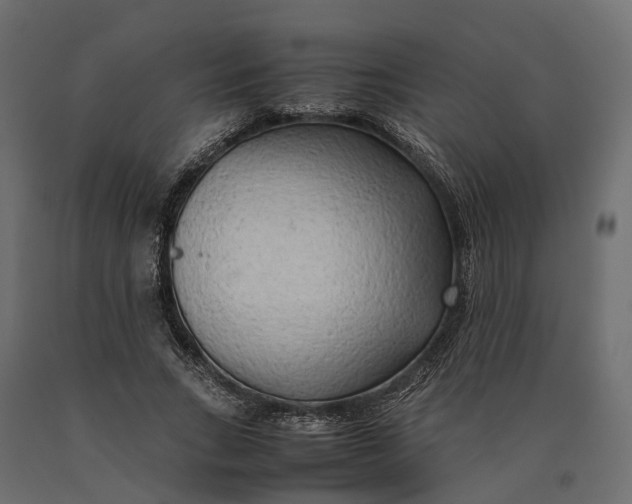 X0000090430735200708031129