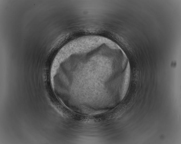 X0000090430738200708031129