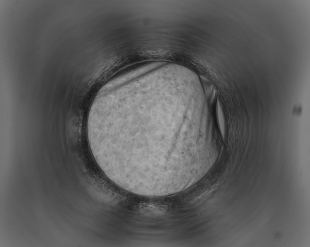 X0000090430739200708031129