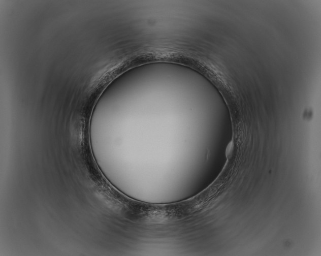 X0000090430740200708031129