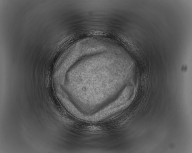 X0000090430741200708031129