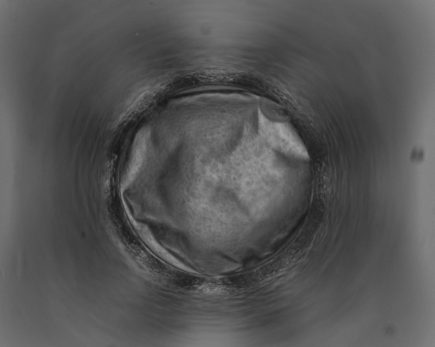 X0000090430742200708031129