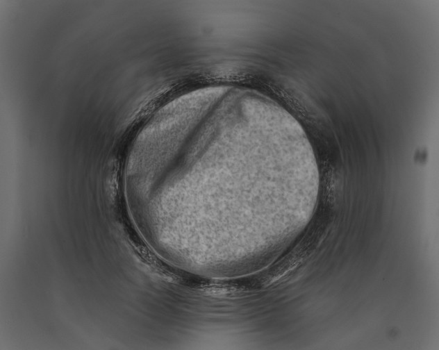 X0000090430746200708031129