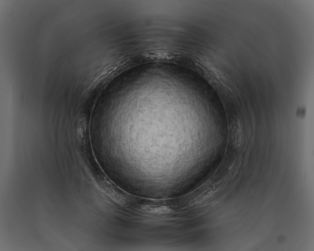 X0000090430747200708031129