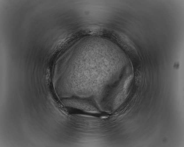 X0000090430748200708031129