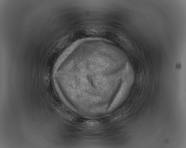 X0000090430749200708031129