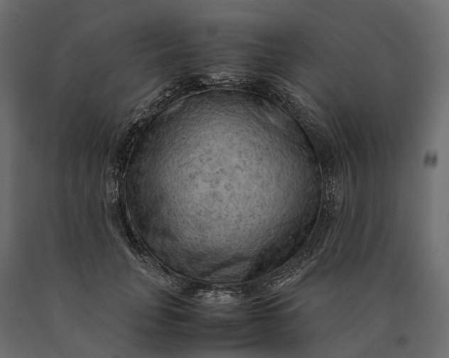 X0000090430751200708031129