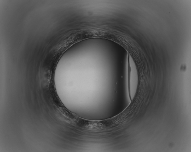 X0000090430752200708031129