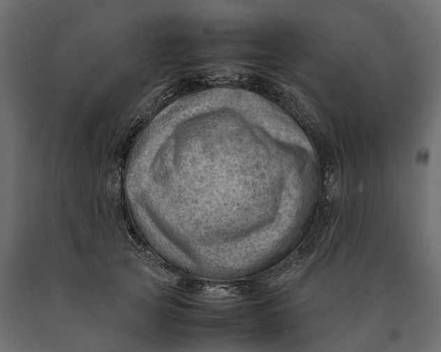 X0000090430753200708031129