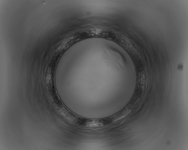X0000090430754200708031129