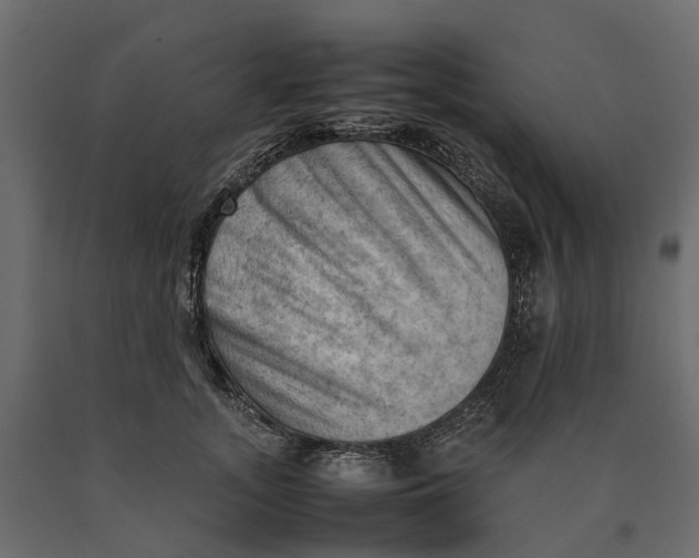 X0000090430755200708031129