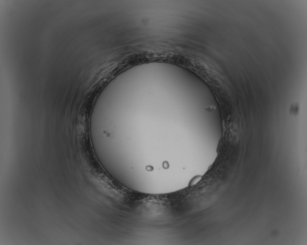 X0000090430756200708031129