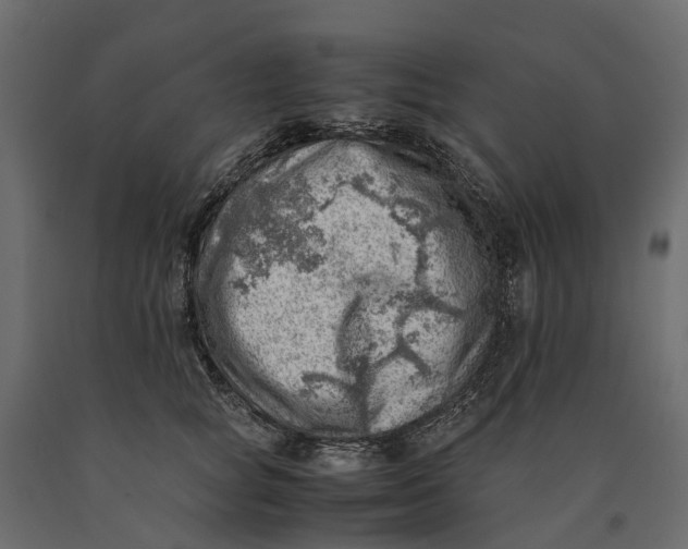 X0000090430757200708031129
