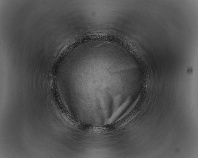X0000090430758200708031129