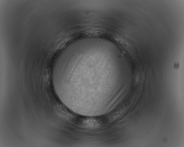 X0000090430759200708031129