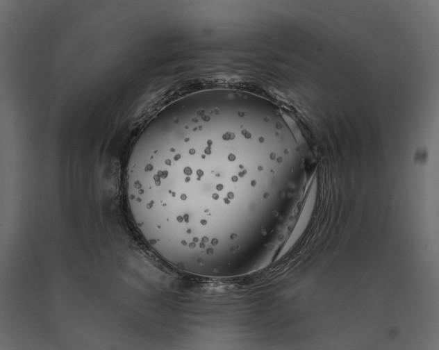 X0000090430760200708031129