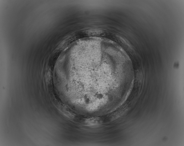 X0000090430761200708031129