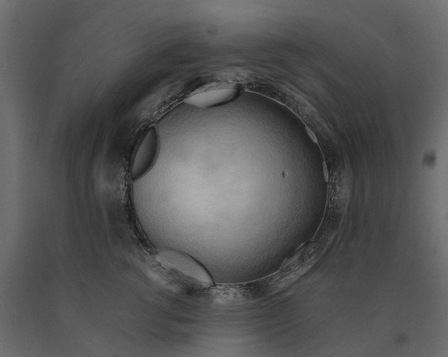 X0000090430762200708031129