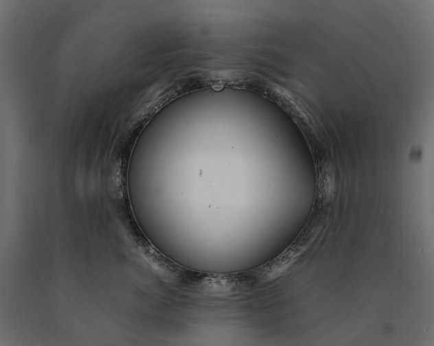 X0000090430764200708031129