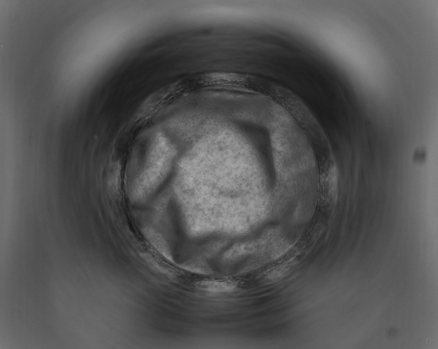 X0000090430765200708031129