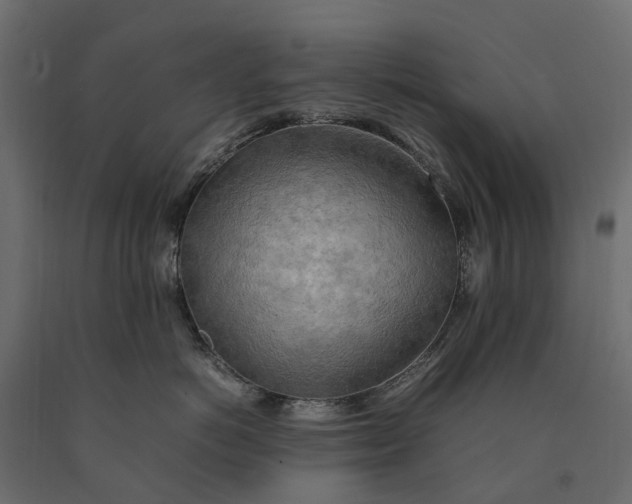 X0000090430766200708031129