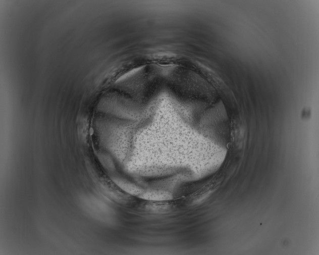 X0000090430767200708031129