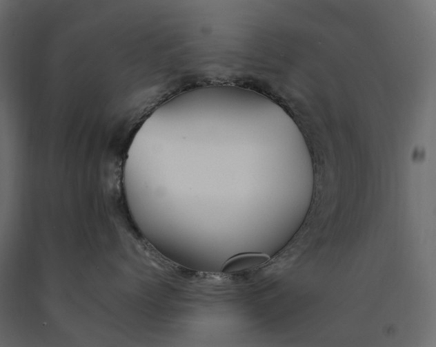 X0000090430768200708031129