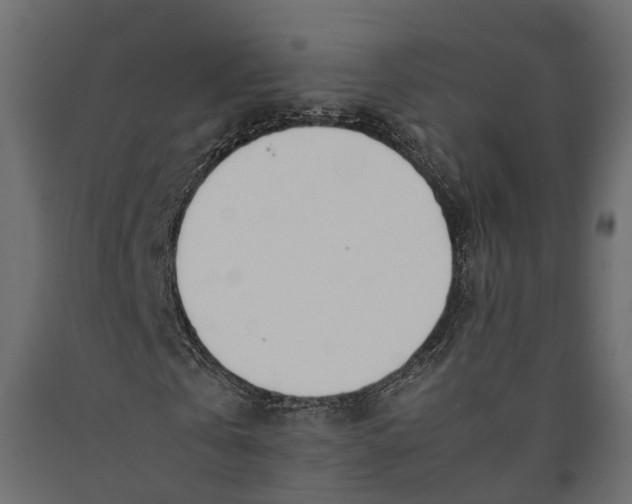 X0000090430769200708031129