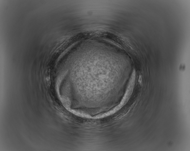 X0000090430771200708031129