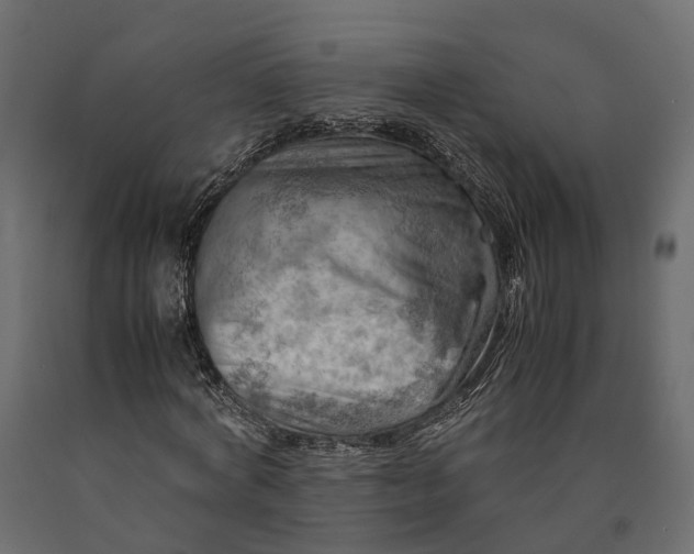 X0000090430772200708031129