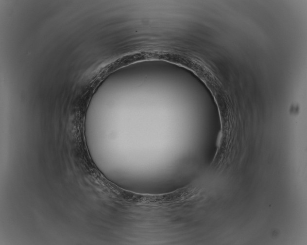 X0000090430773200708031129
