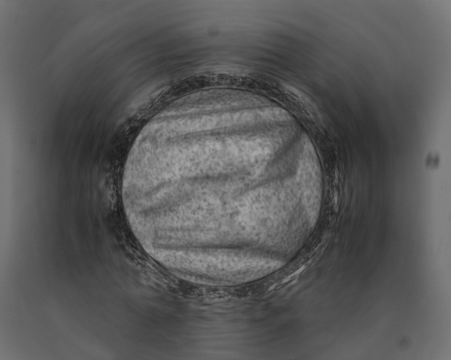 X0000090430774200708031129
