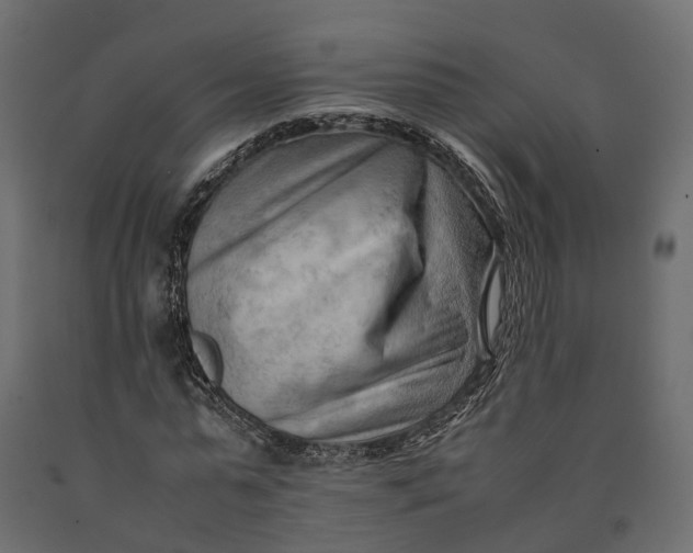 X0000090430775200708031129